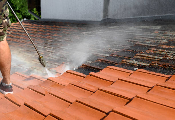 Deck Cleaning Services in Waimea, HI