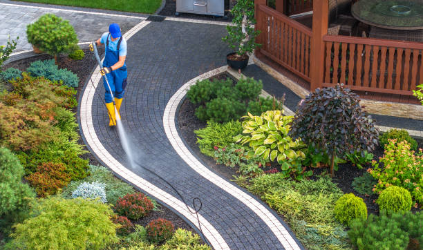 Best Power Washing Near Me  in Waimea, HI