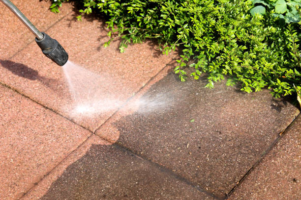  Waimea, HI Pressure Washing Pros