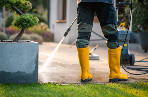 Best Sidewalk Pressure Washing  in Waimea, HI